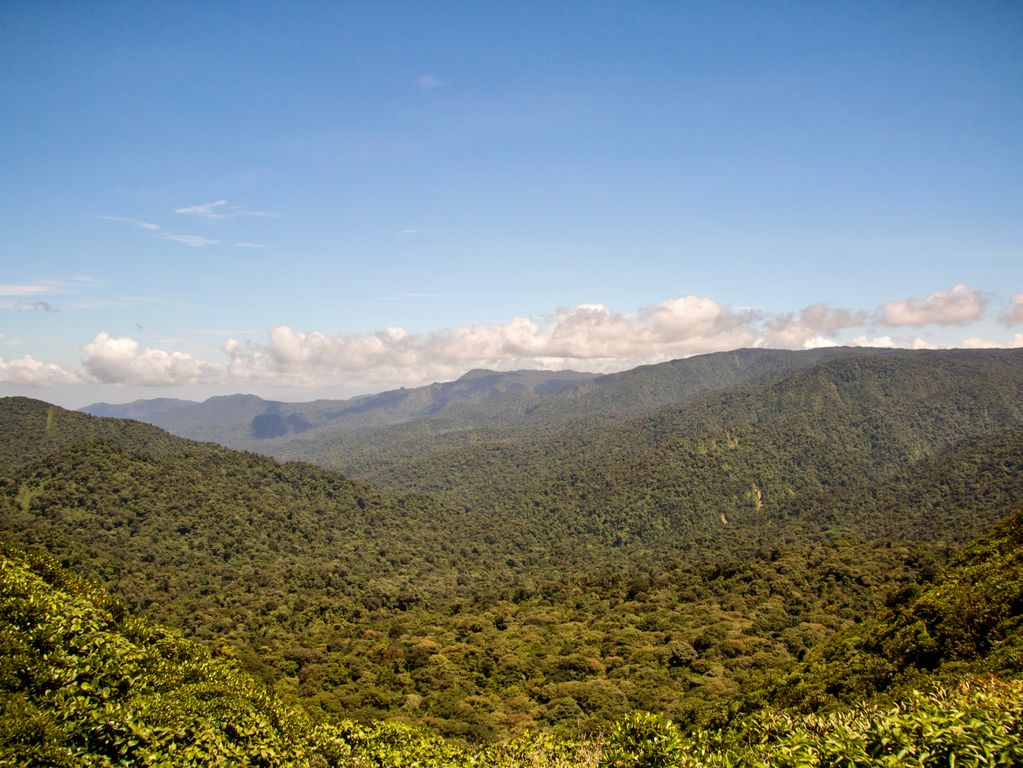 Monteverde in Costa Rica